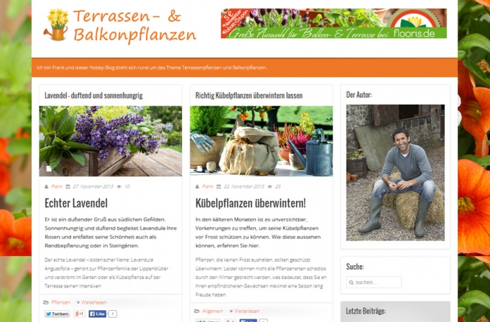 WordPress-Entwicklung Wordpress-Entwicklung